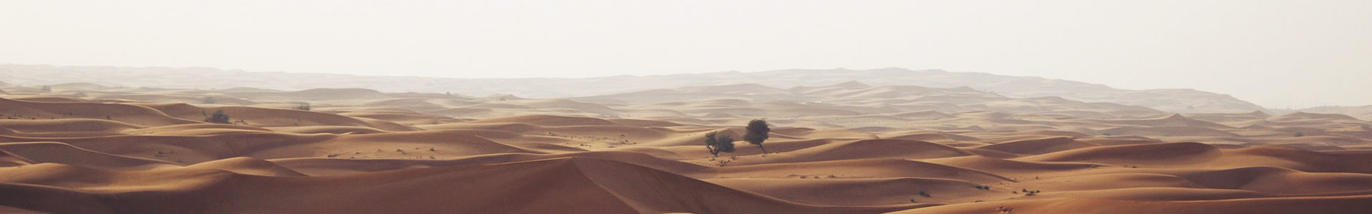ؼԴձƷ޹˾